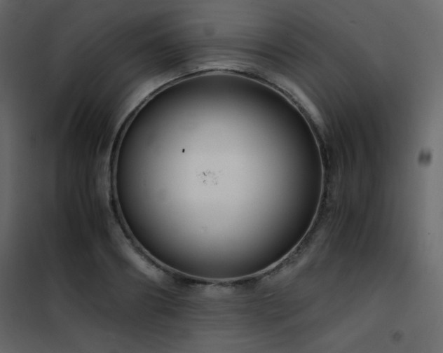 X0000102480890200808081302