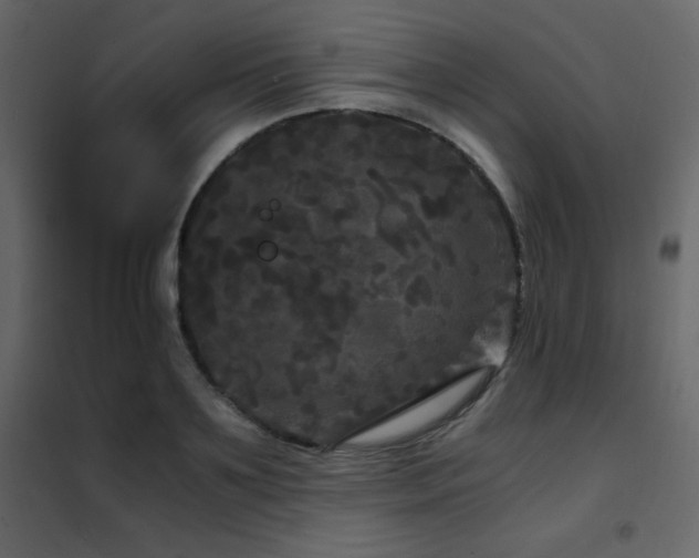 X0000102480891200808081302