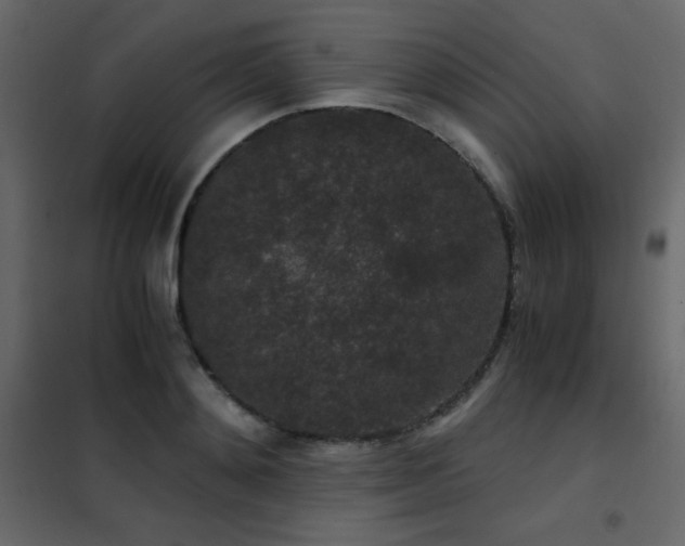 X0000102480892200808081302