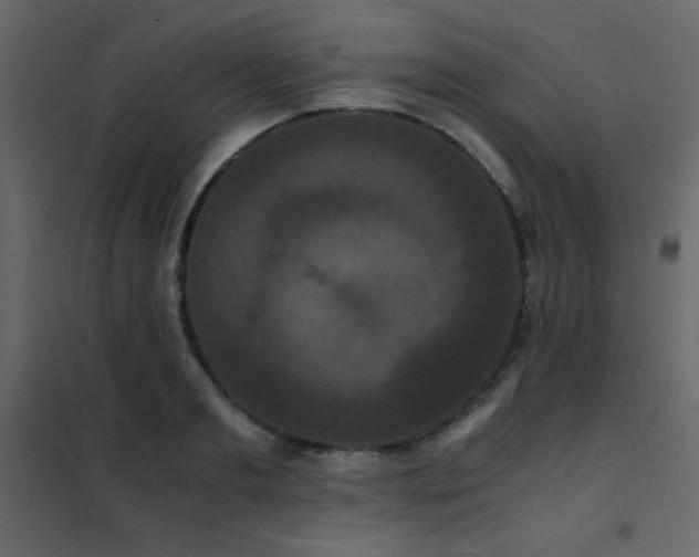 X0000102480893200808081302