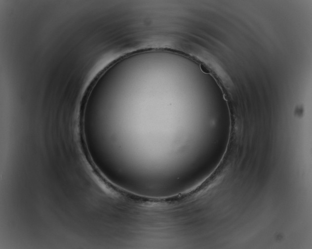 X0000102480894200808081302