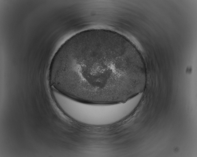 X0000102480895200808081302