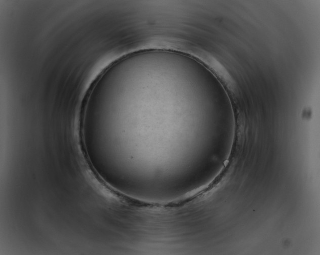 X0000102480896200808081302