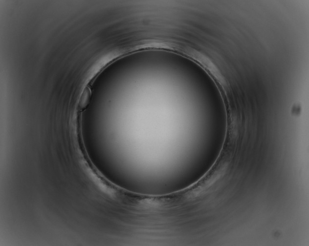 X0000102480898200808081302