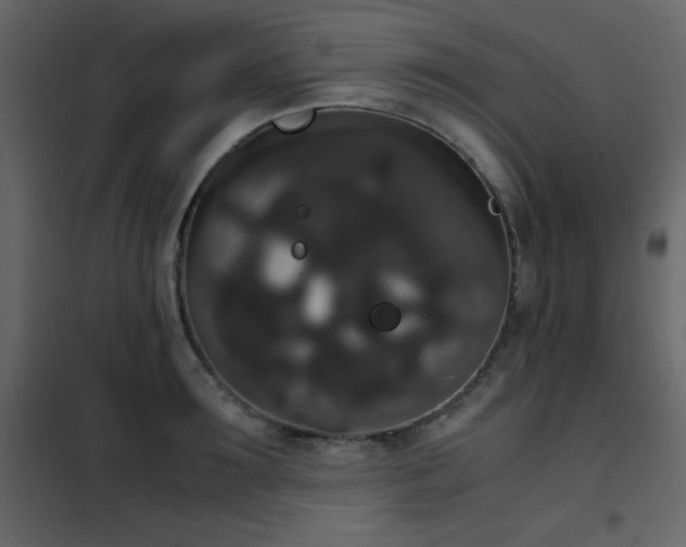X0000102480899200808081302