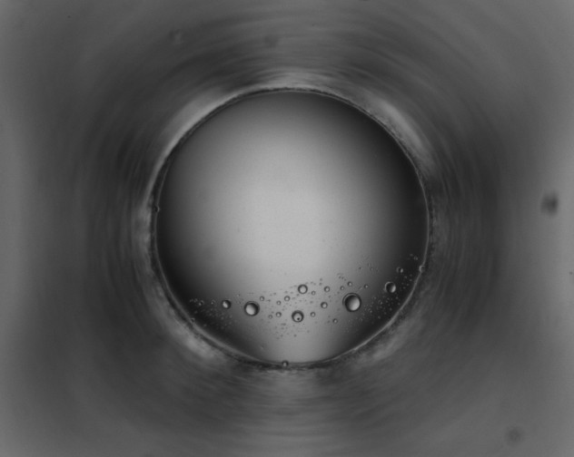 X0000102480900200808081302