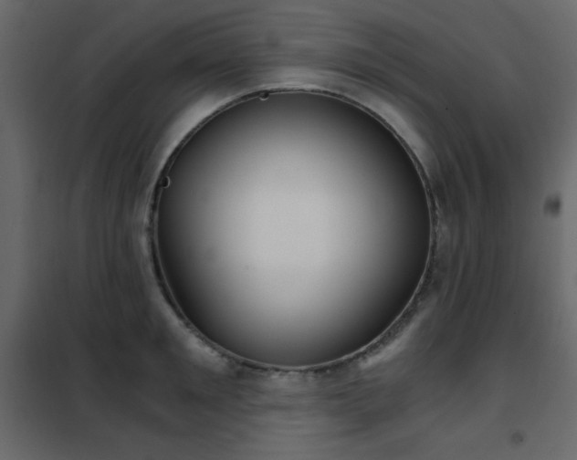 X0000102480901200808081302