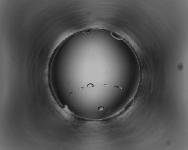 X0000102480902200808081302
