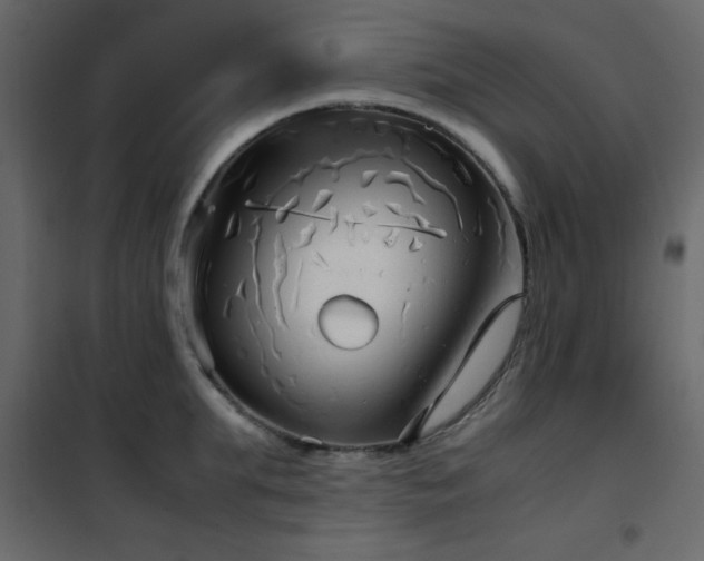 X0000102480903200808081302