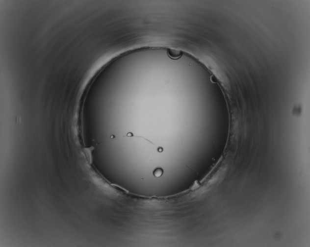 X0000102480904200808081302