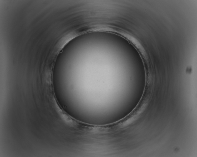 X0000102480905200808081302