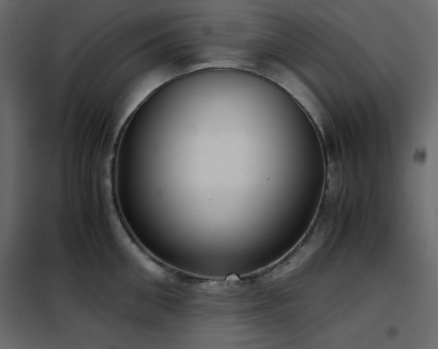 X0000102480906200808081302