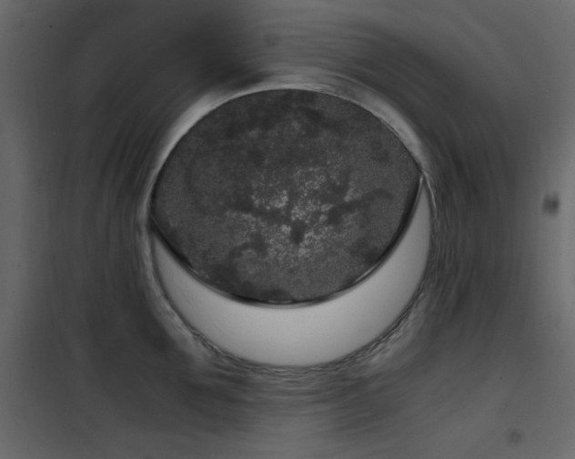 X0000102480907200808081302