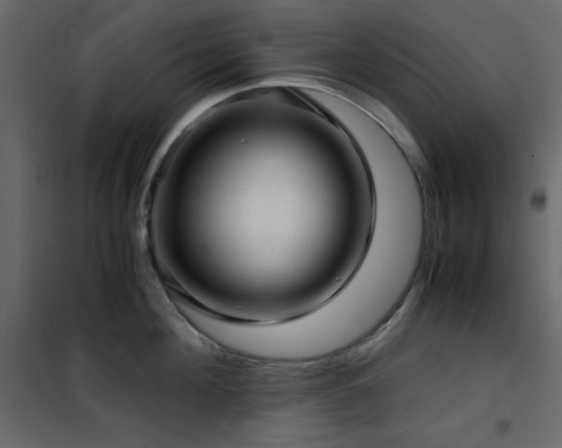 X0000102480908200808081302