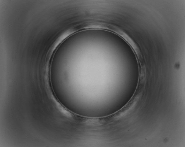 X0000102480909200808081302