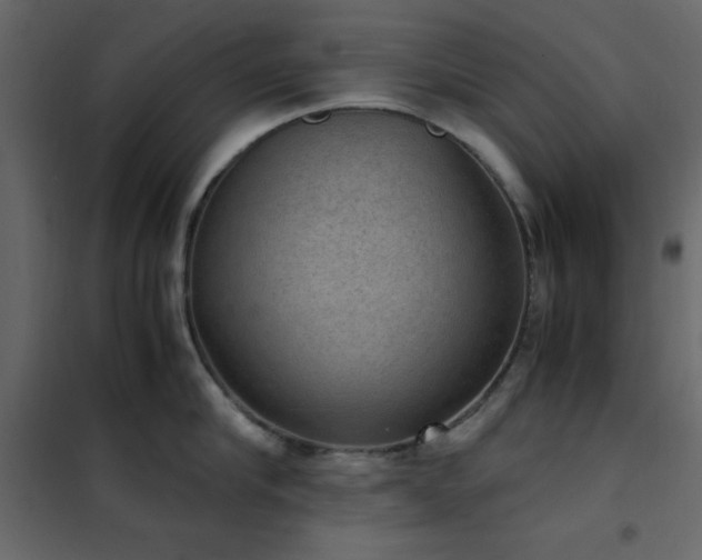 X0000102480910200808081302