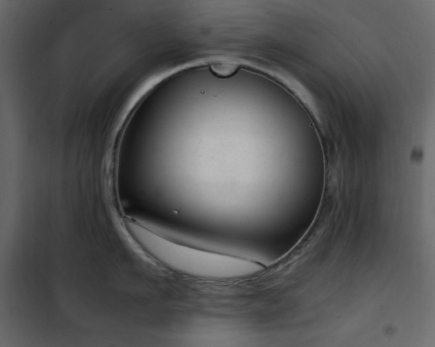 X0000102480911200808081302