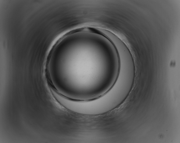 X0000102480912200808081302