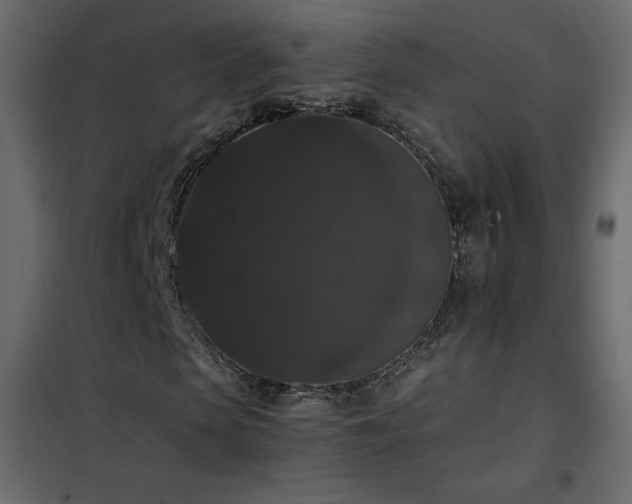 X0000102480913200808081301