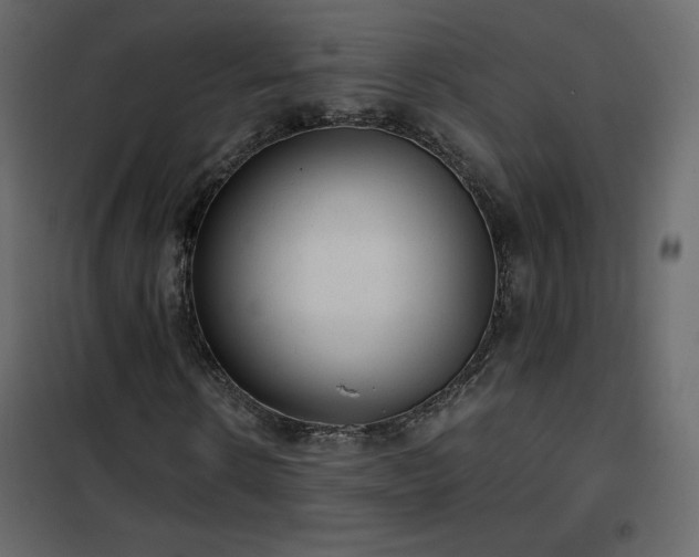 X0000102480914200808081301