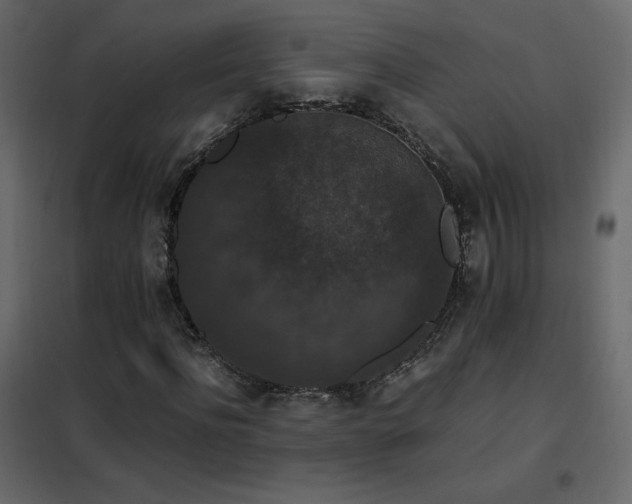 X0000102480916200808081301