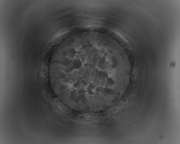 X0000102480917200808081301