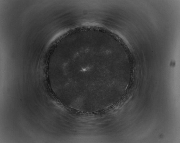 X0000102480919200808081301