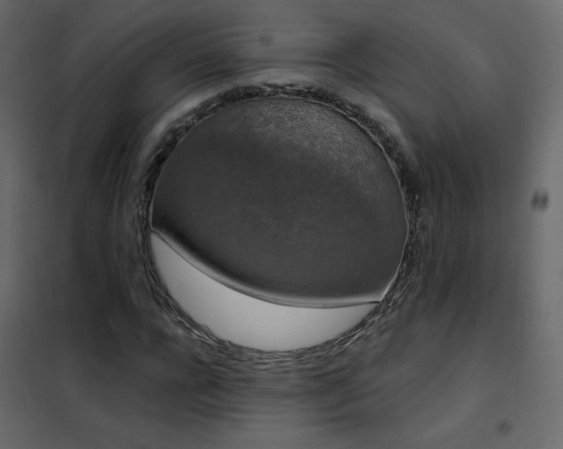 X0000102480920200808081301