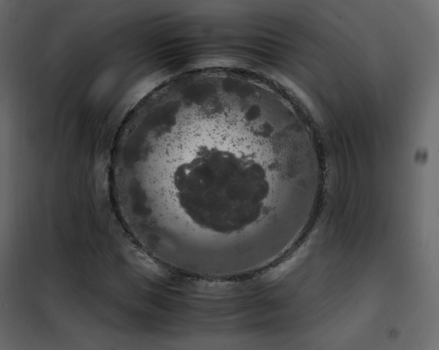 X0000102480921200808081301