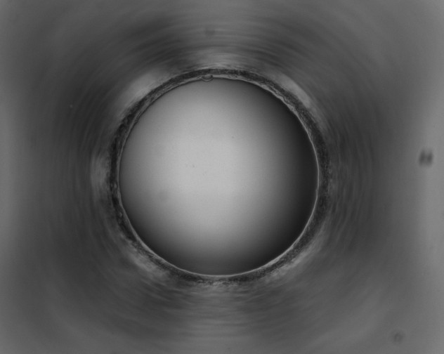 X0000102480922200808081301