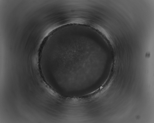 X0000102480923200808081301