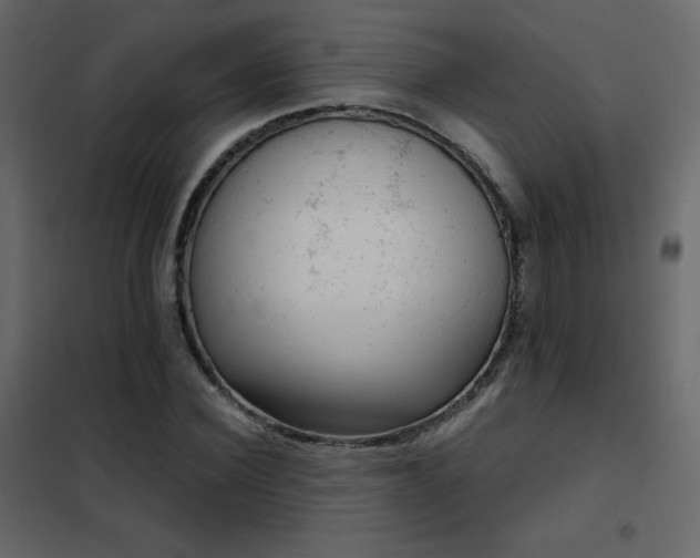 X0000102480924200808081301