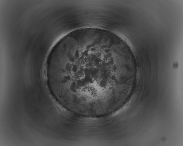 X0000102480925200808081301