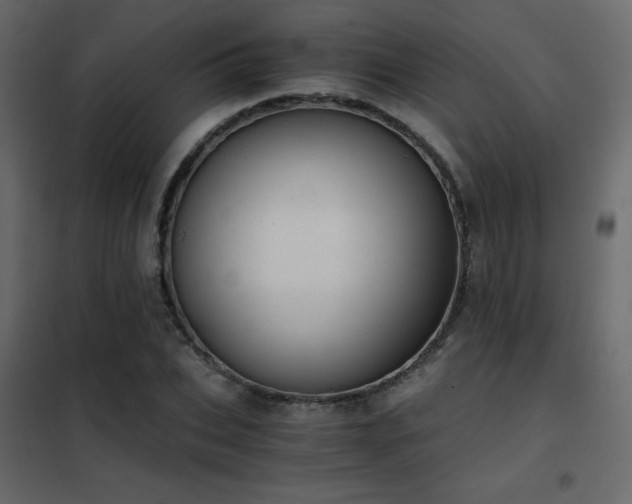 X0000102480927200808081301