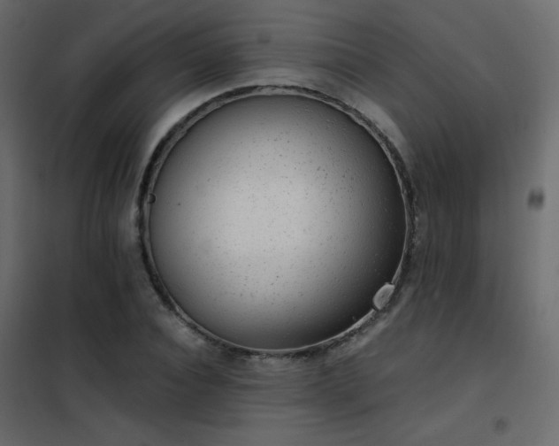 X0000102480928200808081301