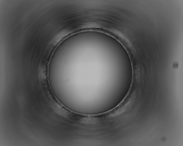 X0000102480929200808081301