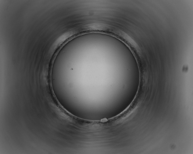 X0000102480930200808081301