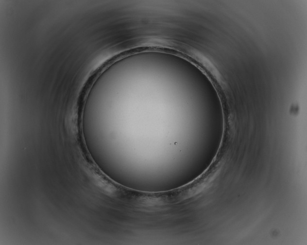 X0000102480931200808081301