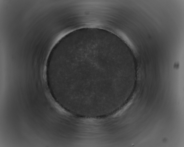 X0000102480932200808081302
