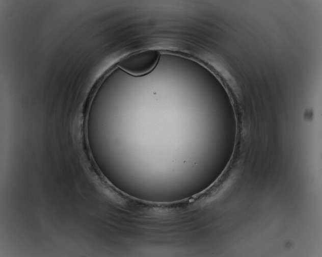 X0000102480933200808081302