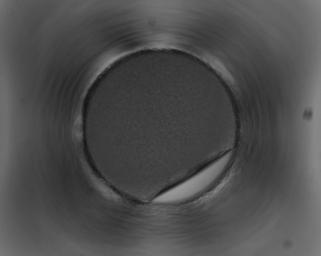 X0000102480934200808081302