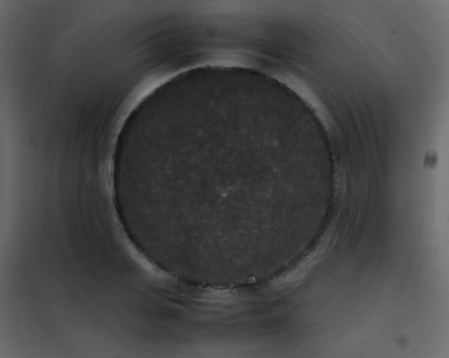 X0000102480935200808081302