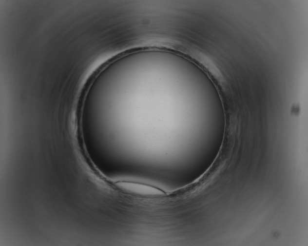 X0000102480936200808081302
