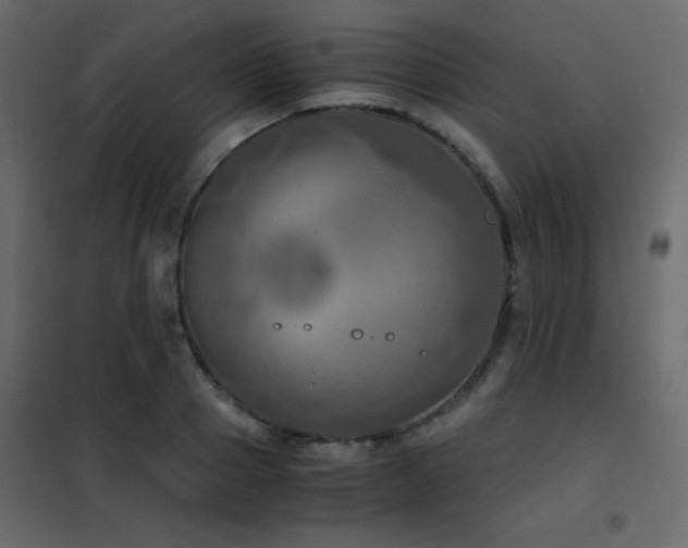 X0000102480937200808081302