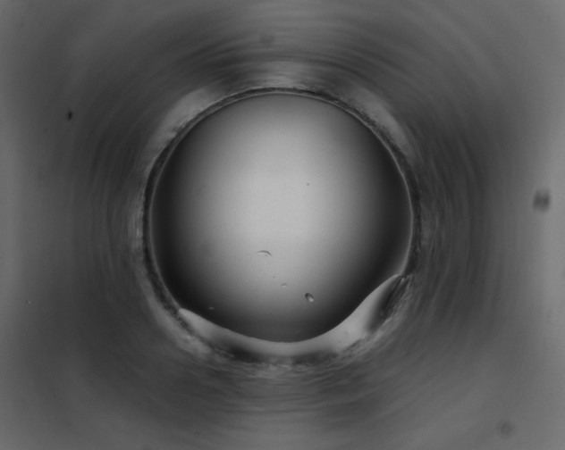 X0000102480938200808081302