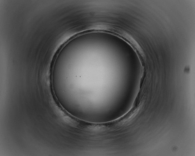 X0000102480939200808081302