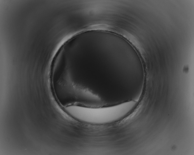X0000102480941200808081302