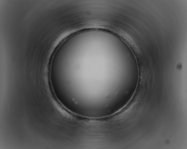 X0000102480942200808081302