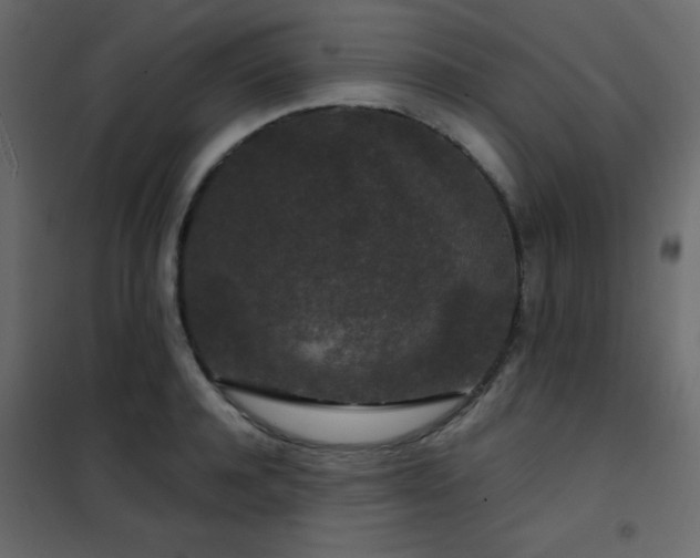 X0000102480944200808081302