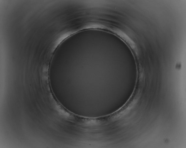 X0000102480945200808081302